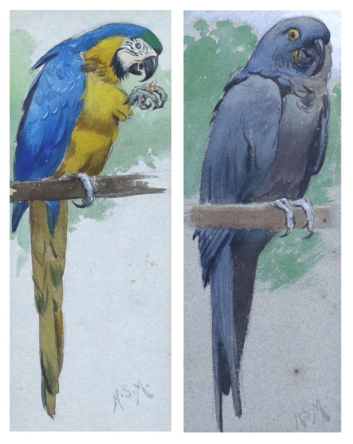 Henry Stacy Marks R.A., (British, 1829-1898), Blue and Yellow Macaw and Hyacinth Macaw, watercolour (2), each 17.5 x 7cm